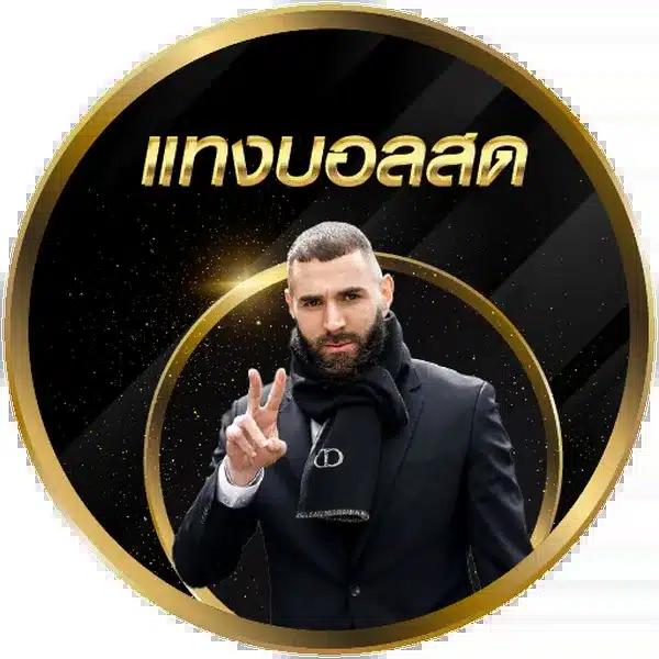 zeed365 คาสิโนอันดับหนึ่ง มั่งคง ปลอดภัย พร้อมโบนัสมากมาย