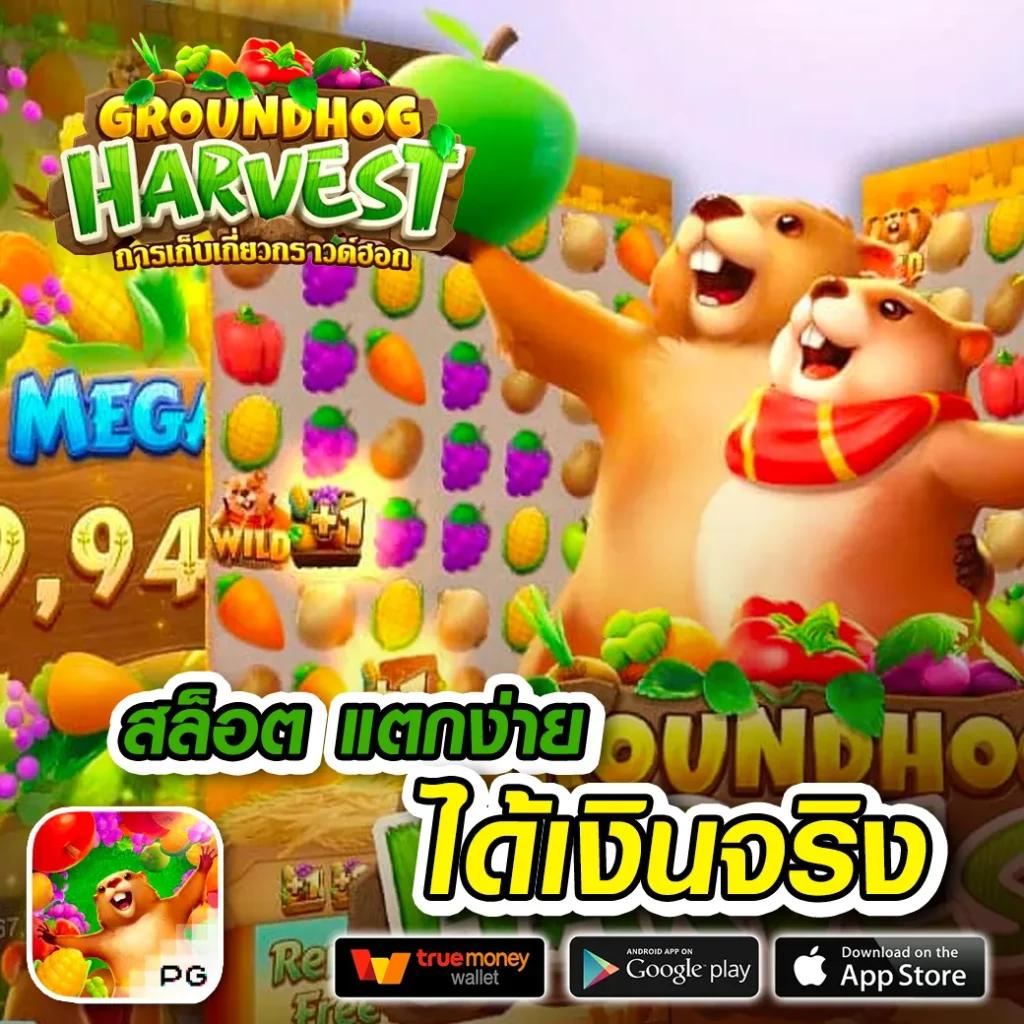 สล็อต789 เว็บตรง เครดิตฟรี ใหม่ล่าสุด 2024 บริการเต็มรูปแบบ